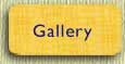 Art Quilt Gallery