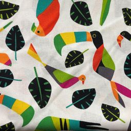 Rio Birds by Jane Dixon