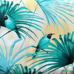 Grand Cayman Birds Wild