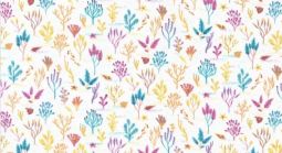 Life Aquatic Coral Reef Multi