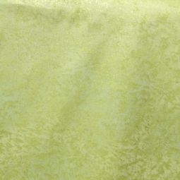Fairy Frost Lettuce