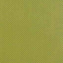 Neco Scallop Lime