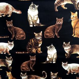 Realistic Cats Black